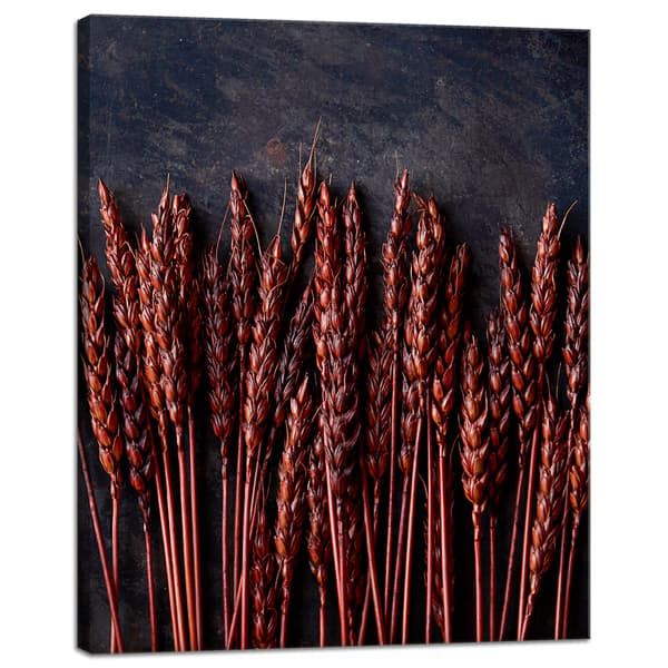 Canvastavla Botanik Mörk Vete 40x50 cm