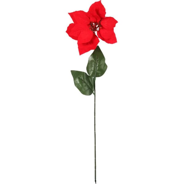 Enkeltblomst Betlehemsstjerne Julestjerne 64 cm