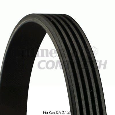 CONTITECH 5 PK 800 multiribbet rem