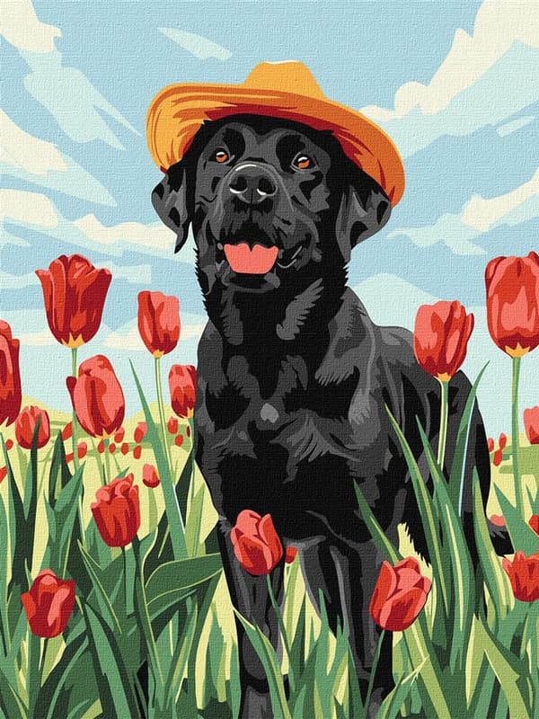 Maleri efter tal - Yndig Labrador 30x40cm