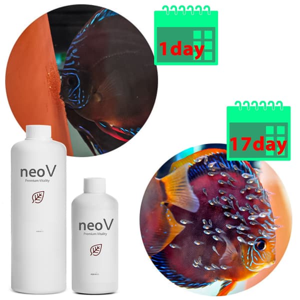 Neo V 300ml - bakterier + pH-stabilisering + vitaminer til fisk