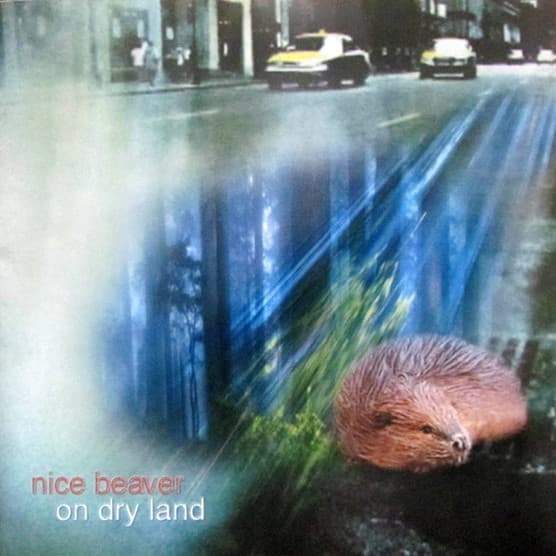 Nice Beaver - On Dry Land (CD)