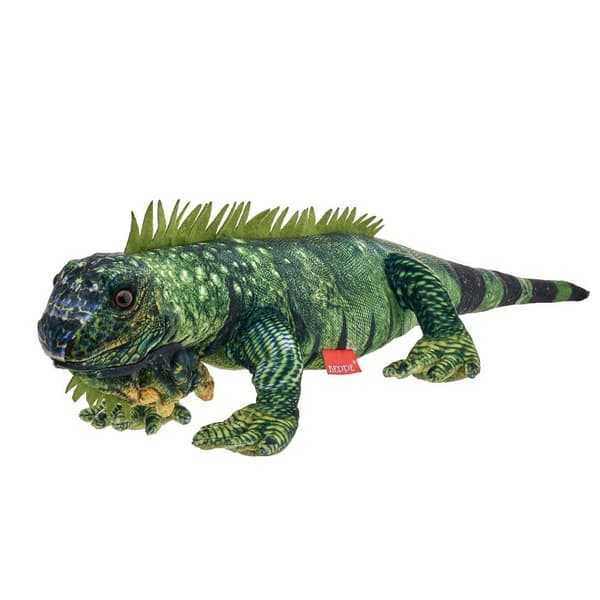 Iguaani 72 cm
