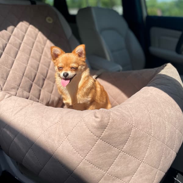 Babyblå autostol til hund