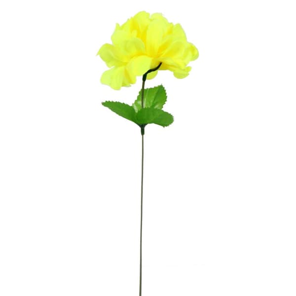 Krysantemum med enkelt citronblad 35 cm