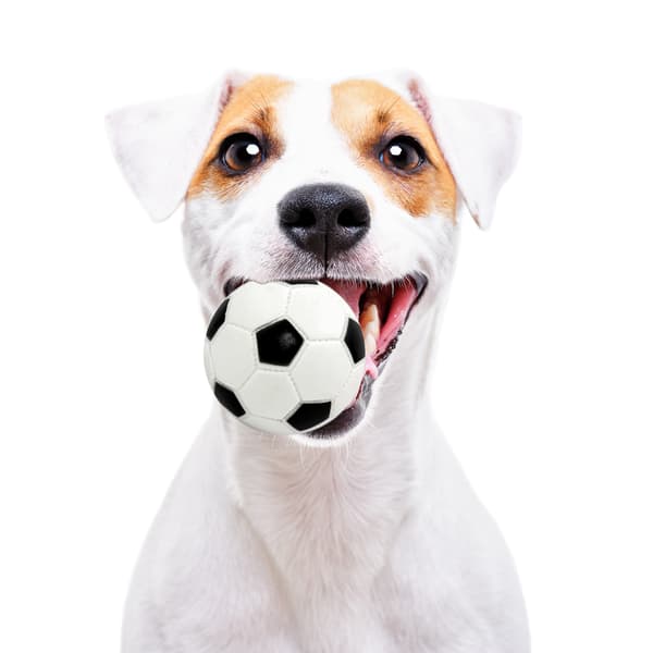 Pet Nova gummileksak - fotboll 7 cm