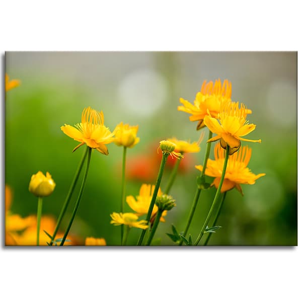 Lærredstryk Botanik Gule blomster 100x60 cm