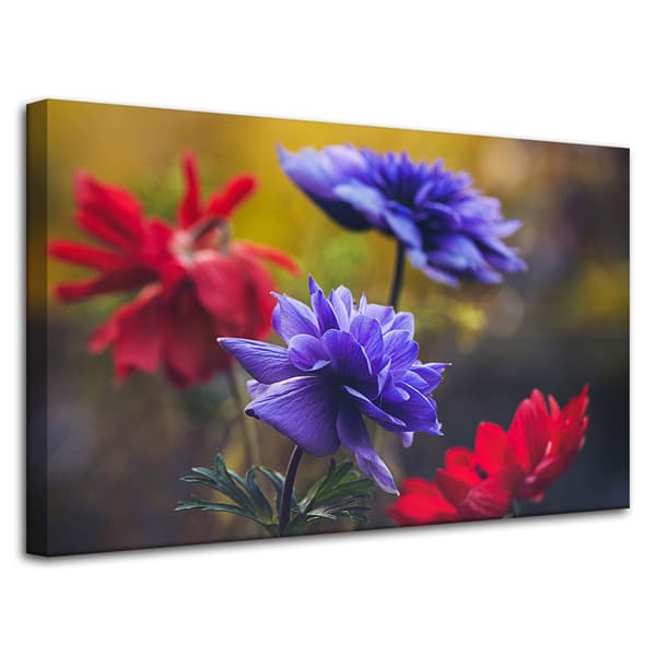 Lærredstryk Botanik Vilde blomster 80x50 cm