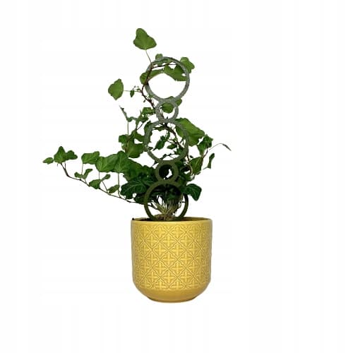 Stöd för klätterväxter Stöd för klätterblommor Pergolastege L 40 cm