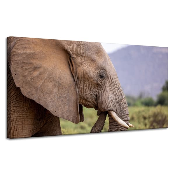 Canvastavla Djur Elefant närbild 120x60 cm