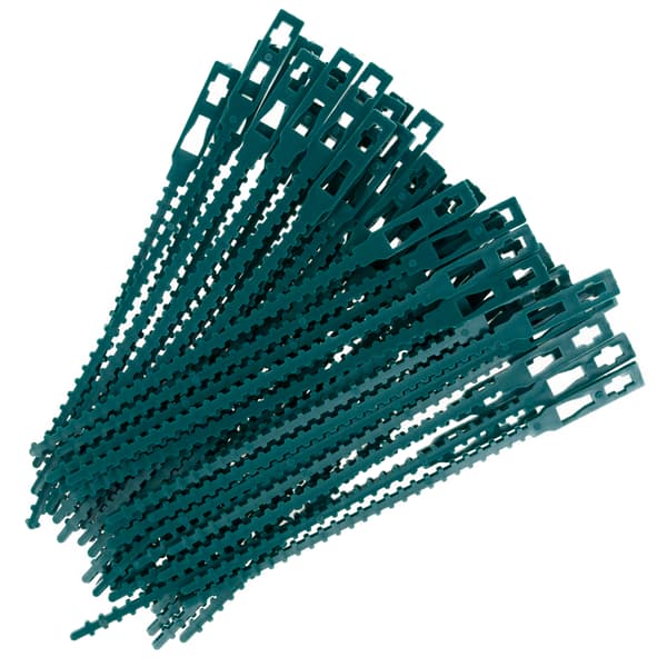 TG77620 VÄXTBAND 50 ST.
