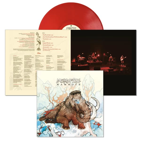 Skäggfisk - Mammoth (LP Röd)