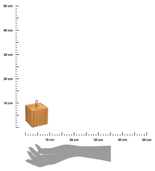 Lille bambusbeholder med låg Terre