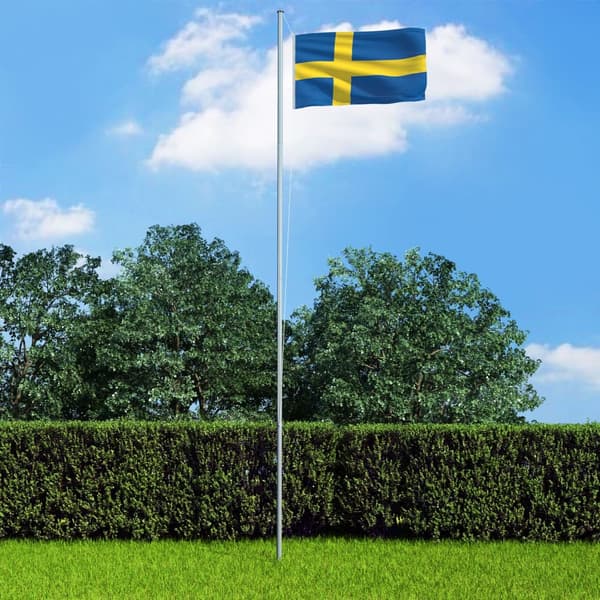 vidaXL svensk flag, 90x150 cm