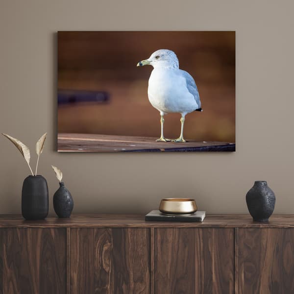 Lærredstryk Dyr Hvid Måge 100x80 cm