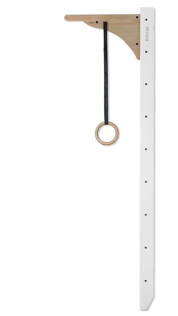 Gymnastiska ringar
