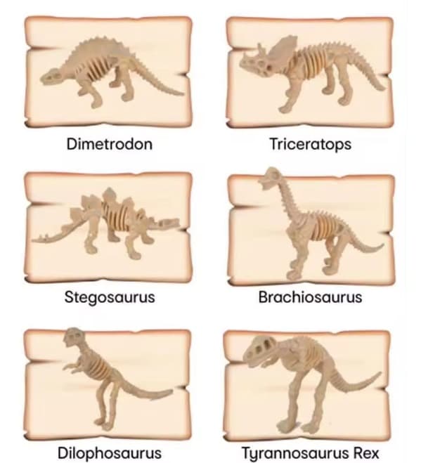 DINOSAURIEÄGG FOSSIL 6 MÖNSTER