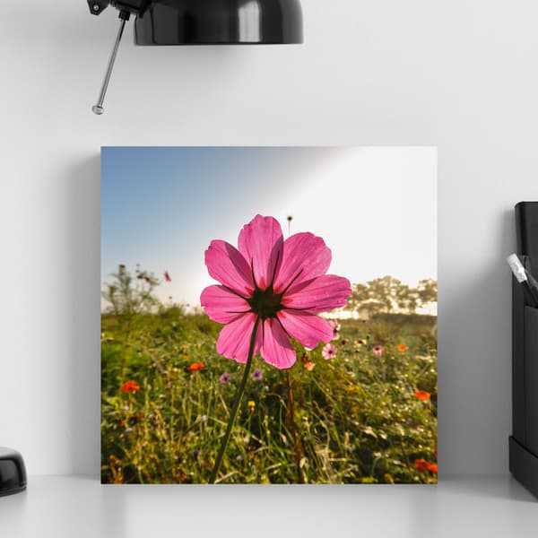 Canvastavla Botanik Rosa blomma 40x40 cm