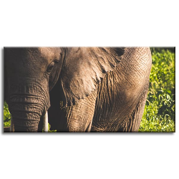 Lærredstryk Dyr Elefant Nærbillede 80x40 cm