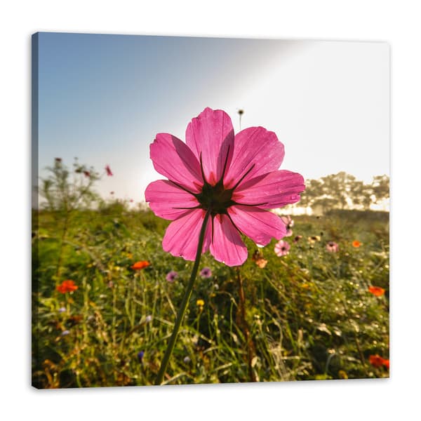 Lærredstryk Botanisk lyserød blomst 50x50 cm