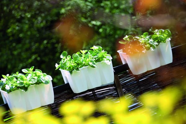 CROWN DCRO400 Räcke Blomkruka | Vit