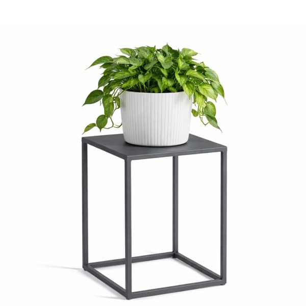 Stående blomsterstander 40 cm grafit