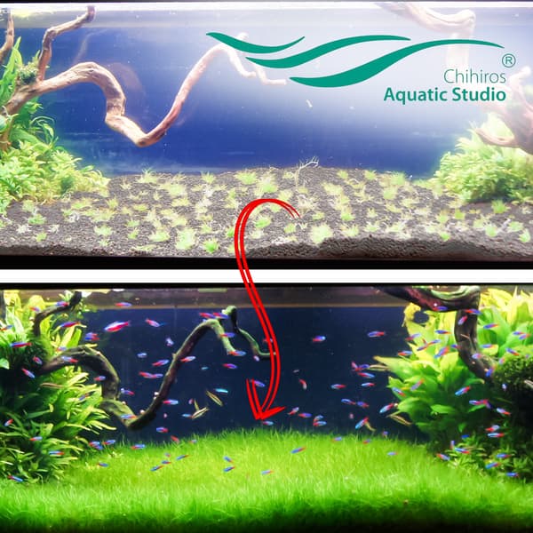 Chihiros Aqua Soil 3l - substrat för växtakvarier