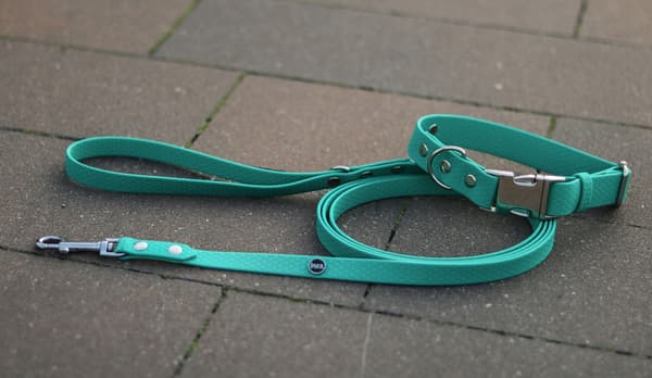 Hexa city hundkoppel, bredd 19 mm, L, 2,2 m/phthalogrön