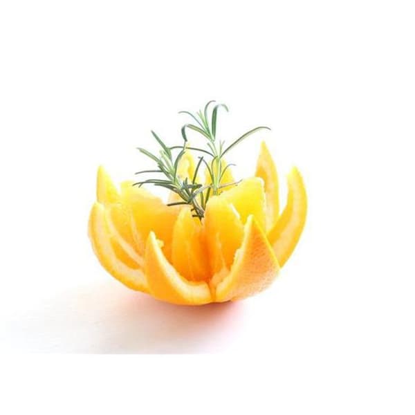 Citruskniv i rostfritt stål - Hendi 856185