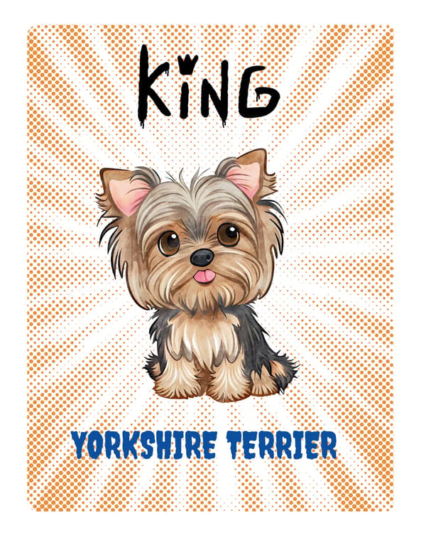 KING YORK -LAUTANEN - 20x28 cm