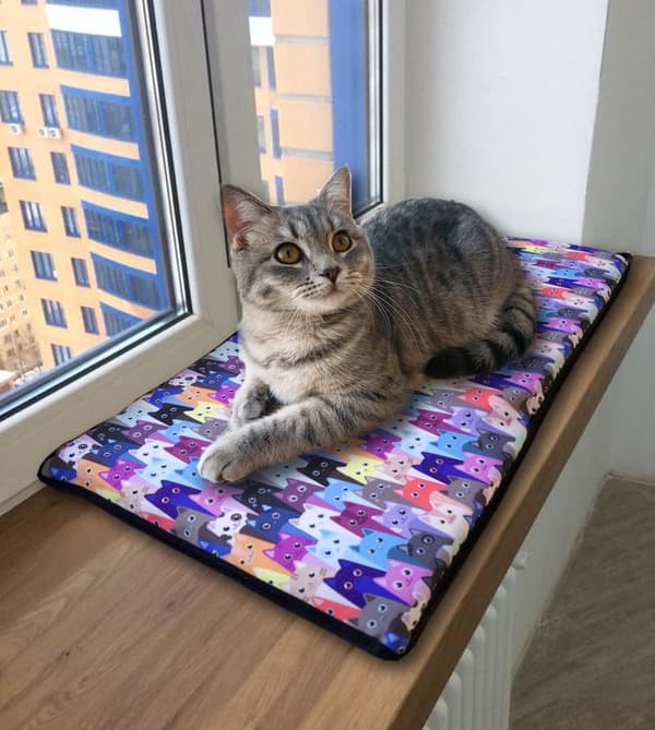 KATTESENG OG PUDE TIL VINDUESKARMEN - MEOW