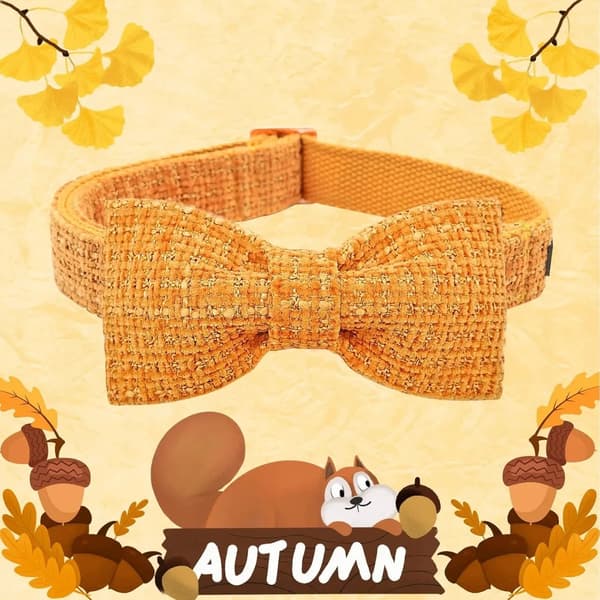 Hundhalsband med rosett M - bomull, justerbart, orange