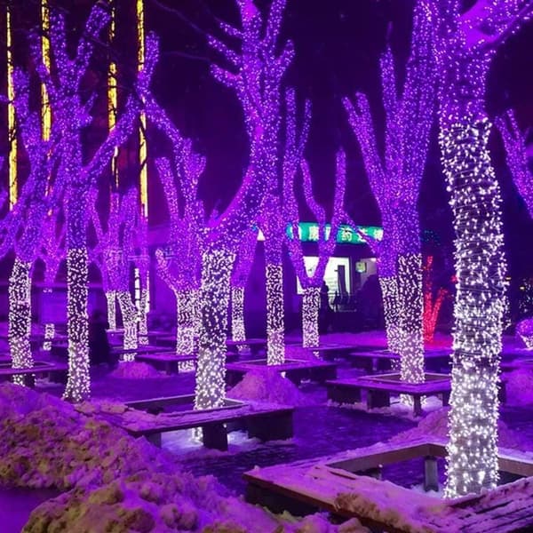 Lila julgransbelysning 100 LED - Pärlor, Nätdriven, 8m lång