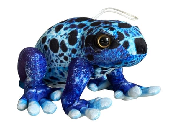 Blå giftfrø 18 cm