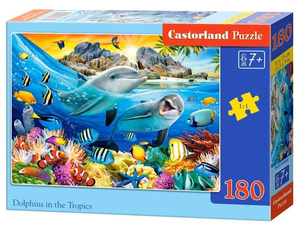 Pulmapeli 180 Delfiinit tropiikissa CASTOR