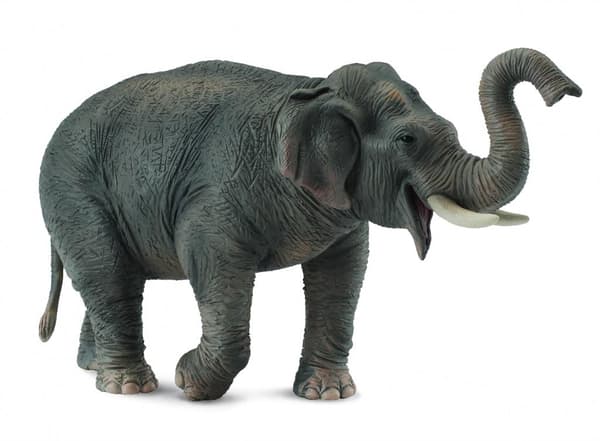 Asiatisk elefant