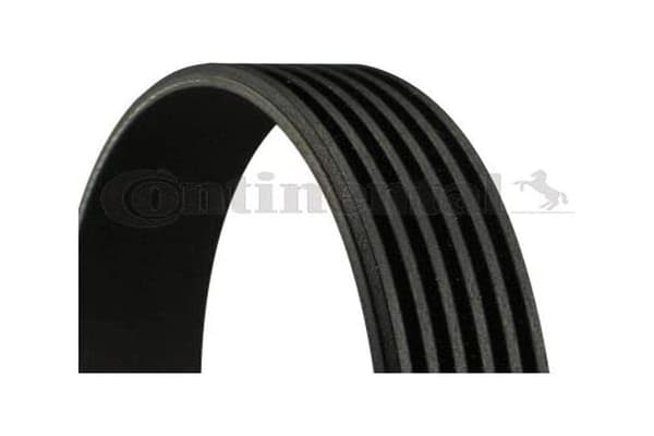 CONTITECH 6 PK 780 ELAST moniurahihna