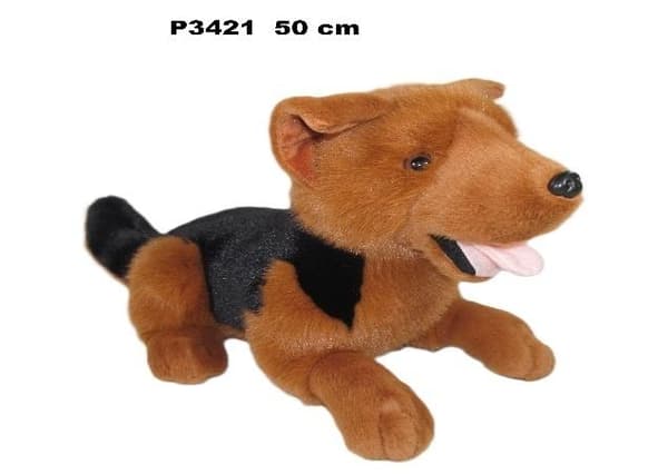 Koira 50 cm