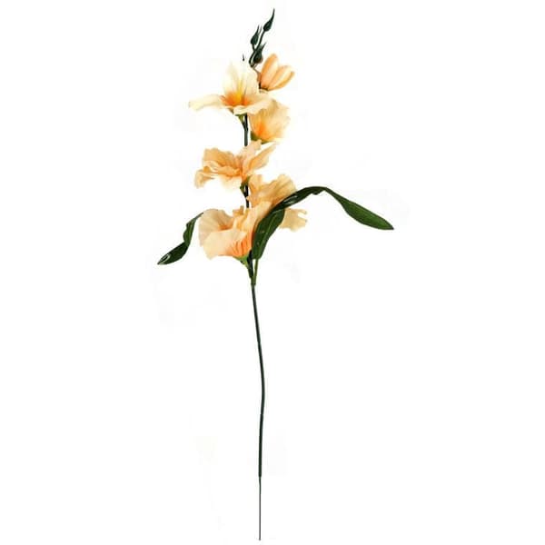 Lohikarvitsa 55 cm