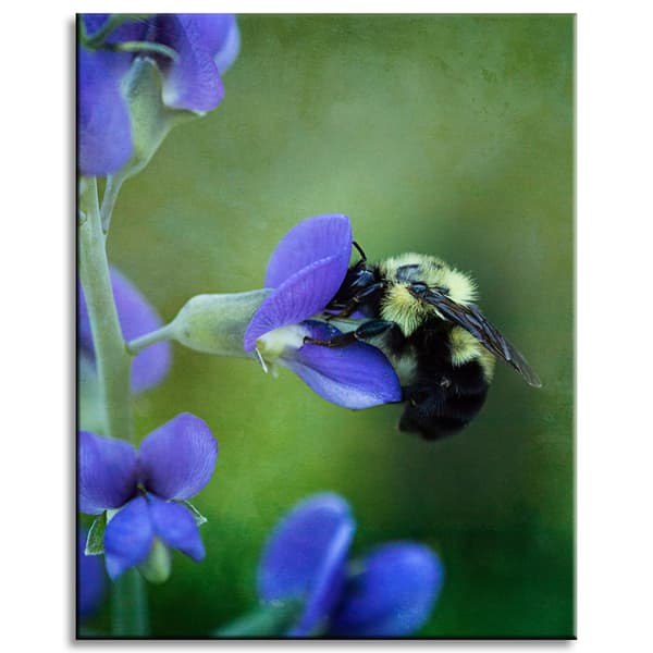 Lærredstryk Botanik Bi blomst 40x50 cm
