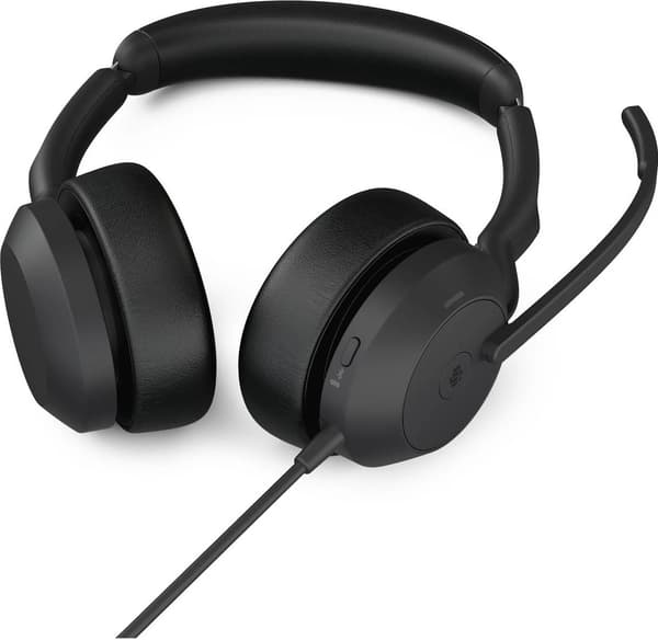Jabra Evolve2 50 USB C/A MS Stereo Sorte Hovedtelefoner (25089-999-799)