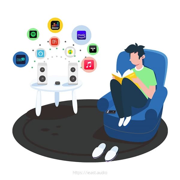 iEAST Oliostream sort netværksafspiller streamer multiroom