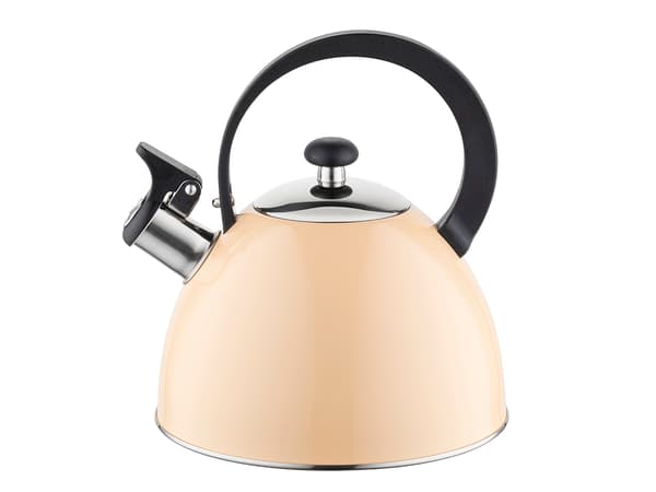BRILLO KEDEL I RUSTFRIT STÅL 2,5L PEACH