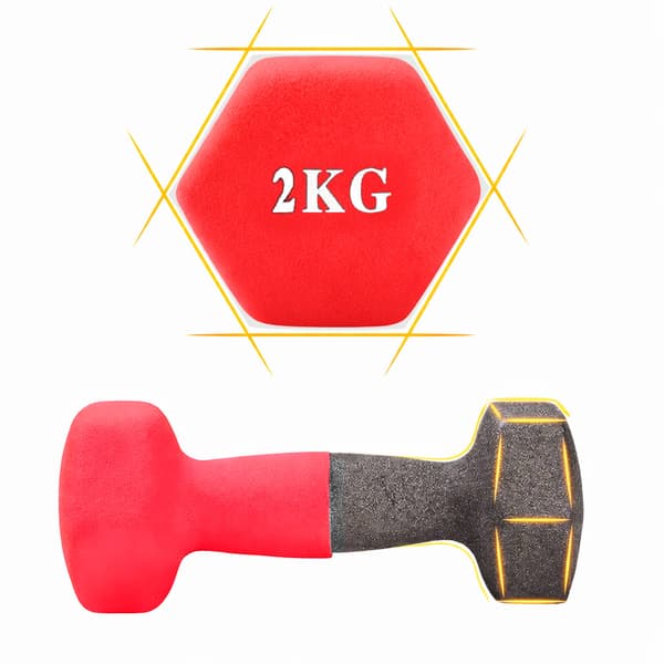 Belagd gjutjärnshantel 2 kg