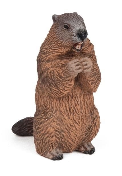 Murmeli