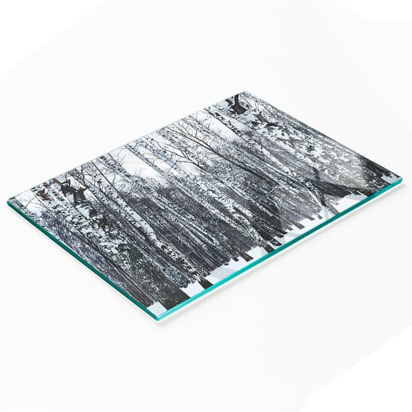 Dekorativ skär- och serveringsbräda i glas i vinterbjörk 80x52 cm