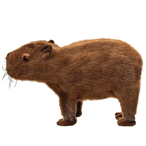 Kapybara 33cm