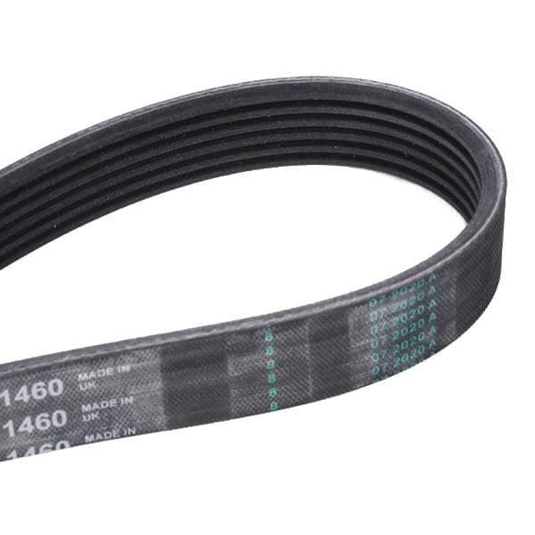 CONTITECH 6 PK 1460 multiribbet rem