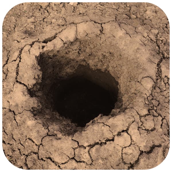 Terrario Monument Mud 1kg - saviseos