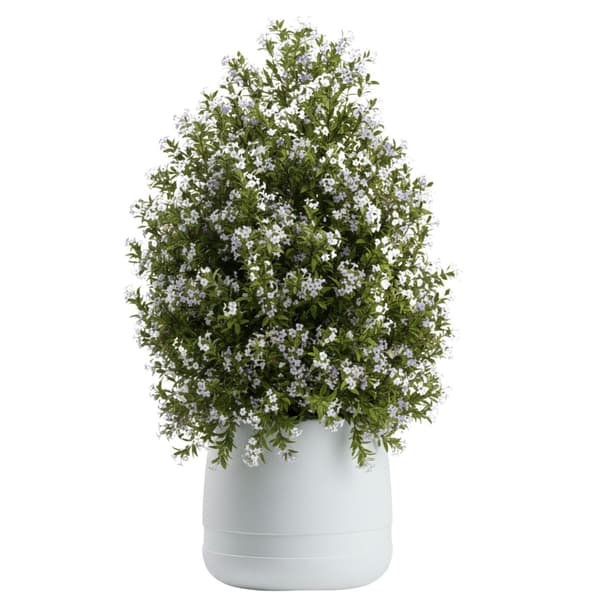 Sæt med LUNA VASE blomsterpotter hvide 3 stk.